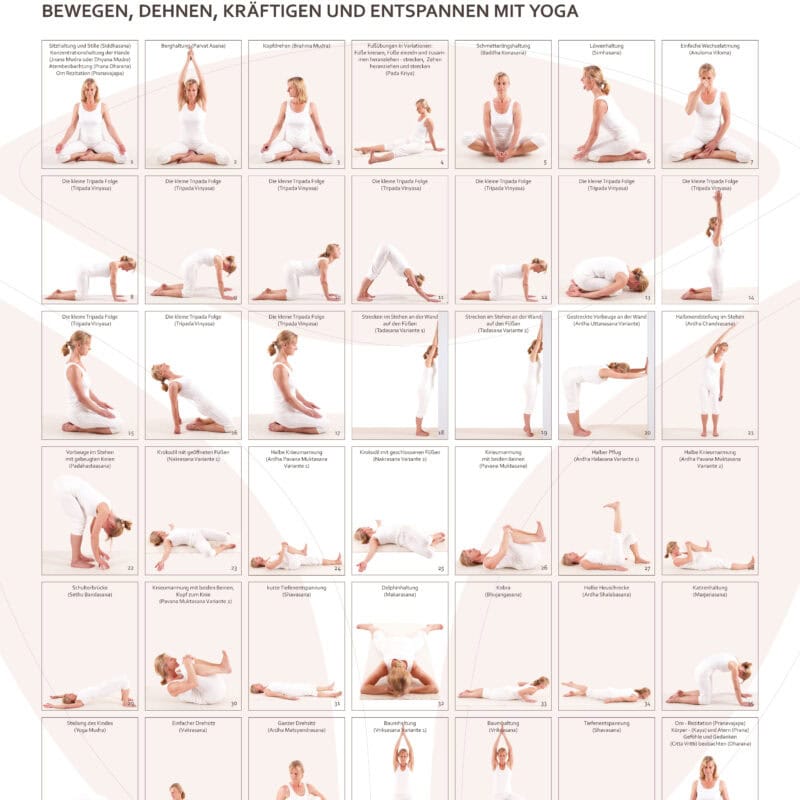 Tripada® Yoga Basic – A1 Kursübersichtsplakat