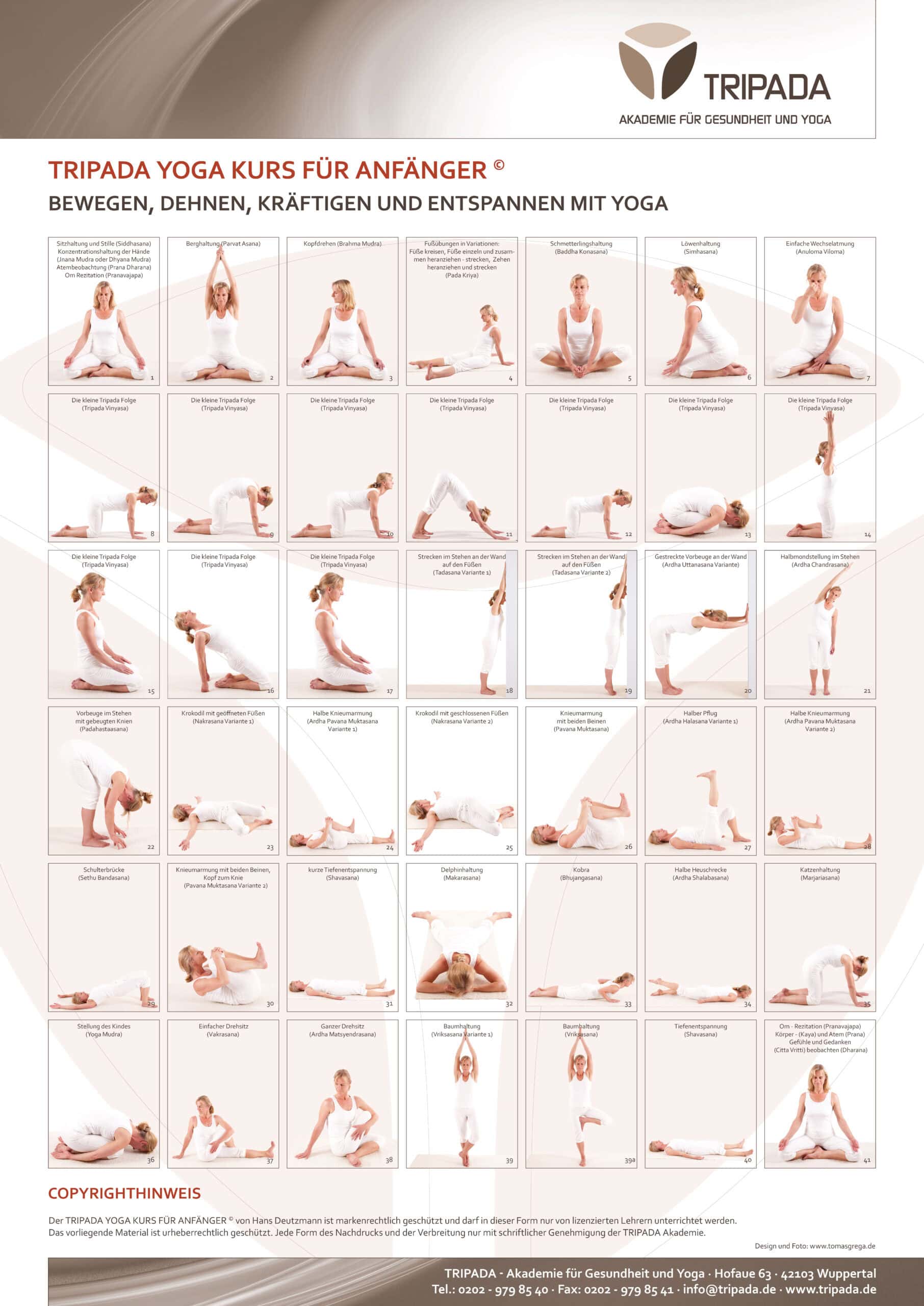 Tripada Yoga Basic A1 Plakat