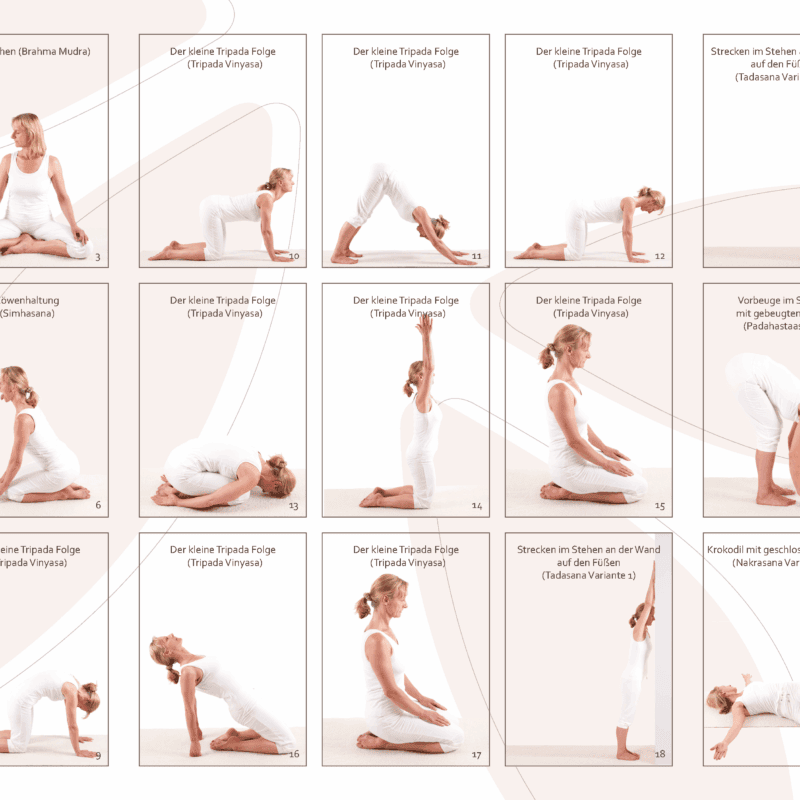Faltblatt Tripada Yoga Basic 6 Seiten Druckversion