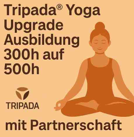 Upgrade 300 h auf 500 h mit Partnerschaft Upgrade 300n auf 500 h mit Partnerschaft