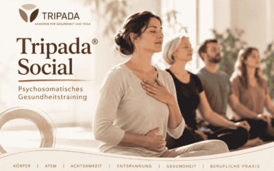 Tripada Social
