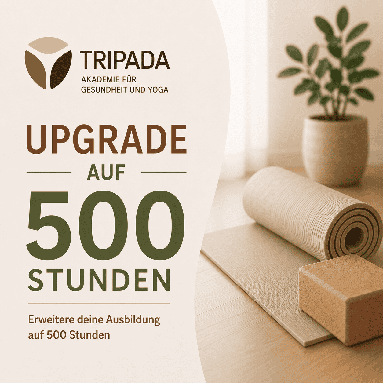 Tripada® Yogalehrerausbildung – Upgrade auf 500 Stunden