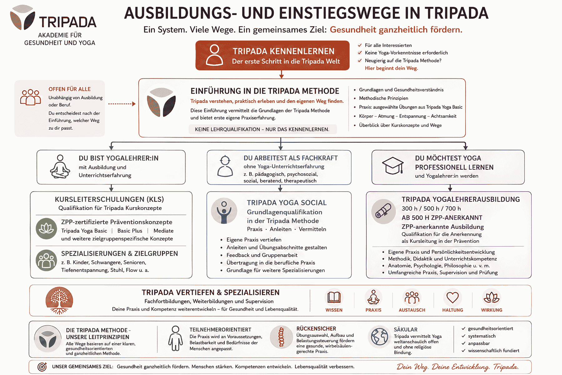 Ausbildungs- und Qualifikationswege der Tripada Methode mit Kursleiterschulungen, Tripada Yoga Social und Yogalehrerausbildung